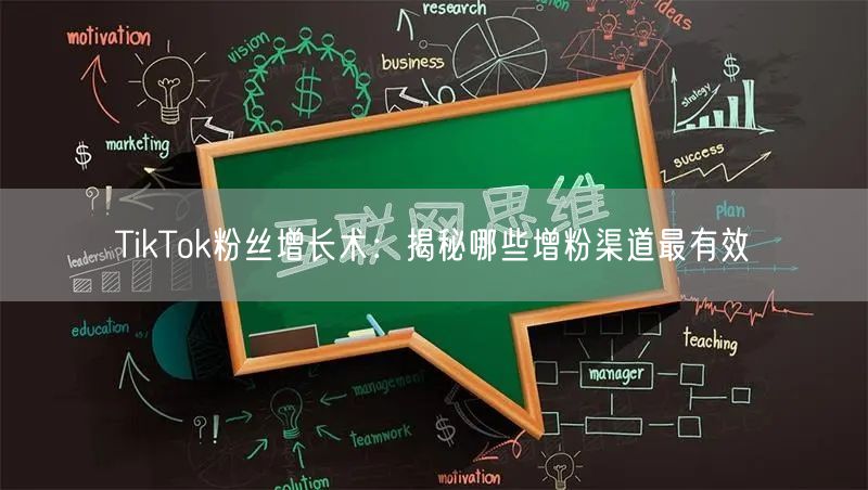 TikTok粉丝增长术：揭秘哪些增粉渠道最有效