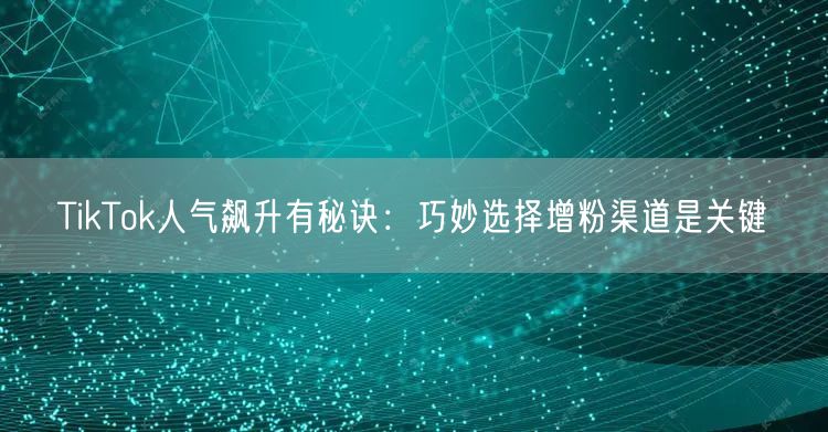 TikTok人气飙升有秘诀：巧妙选择增粉渠道是关键