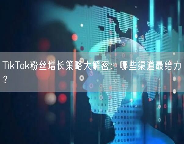 TikTok粉丝增长策略大解密：哪些渠道最给力？