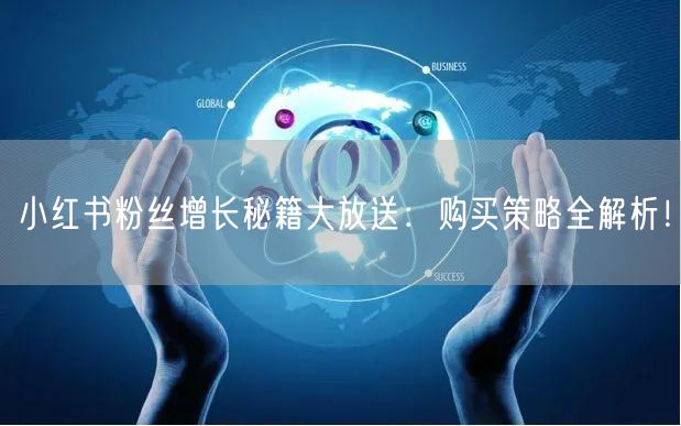 小红书粉丝增长秘籍大放送：购买策略全解析！