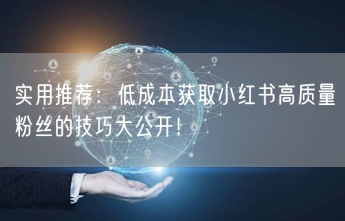 实用推荐：低成本获取小红书高质量粉丝的技巧大公开！