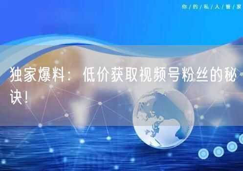 独家爆料：低价获取视频号粉丝的秘诀！