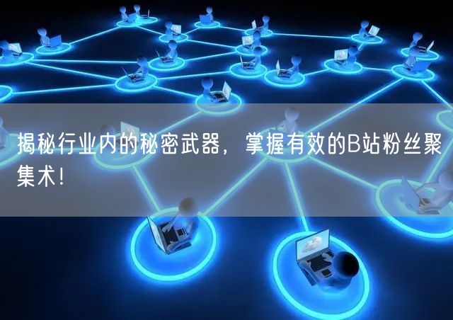 揭秘行业内的秘密武器，掌握有效的B站粉丝聚集术！