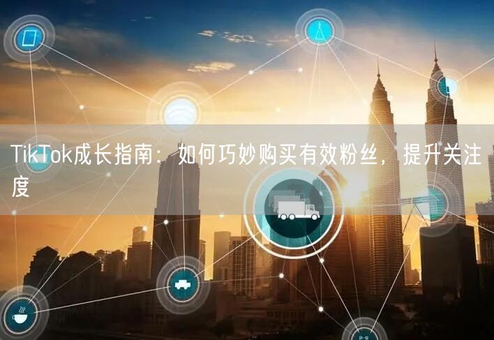 TikTok成长指南：如何巧妙购买有效粉丝，提升关注度
