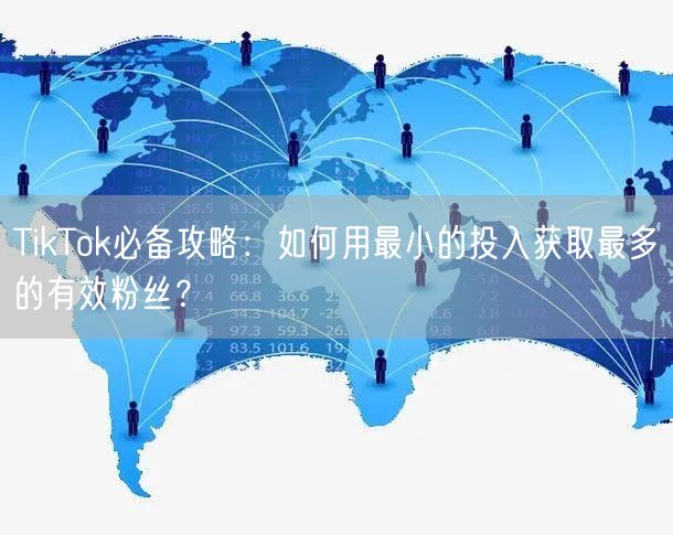 TikTok必备攻略：如何用最小的投入获取最多的有效粉丝？