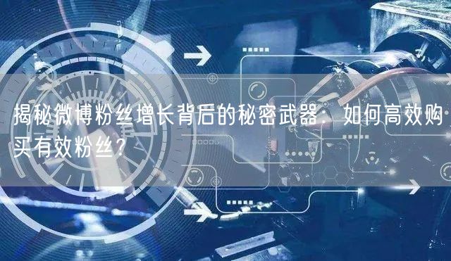 揭秘微博粉丝增长背后的秘密武器：如何高效购买有效粉丝？