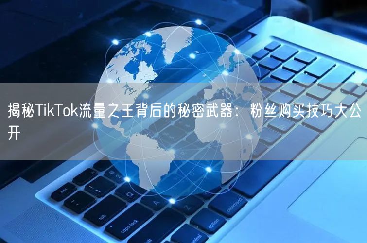 揭秘TikTok流量之王背后的秘密武器：粉丝购买技巧大公开