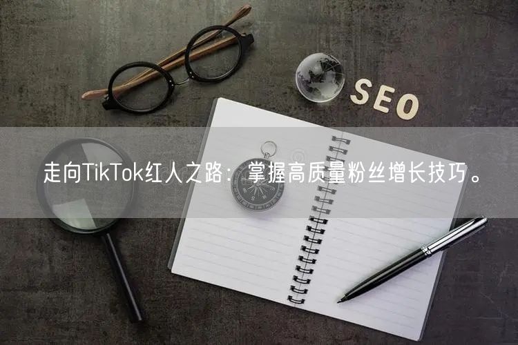 走向TikTok红人之路：掌握高质量粉丝增长技巧。