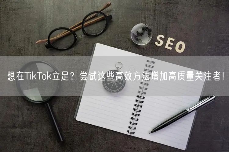 想在TikTok立足？尝试这些高效方法增加高质量关注者！