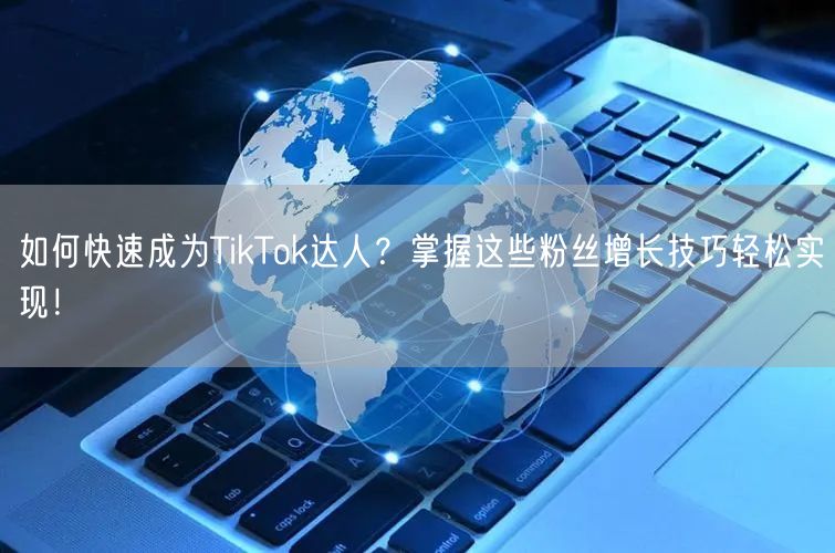 如何快速成为TikTok达人？掌握这些粉丝增长技巧轻松实现！