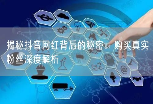 揭秘抖音网红背后的秘密：购买真实粉丝深度解析