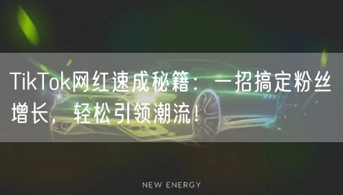 TikTok网红速成秘籍：一招搞定粉丝增长，轻松引领潮流！