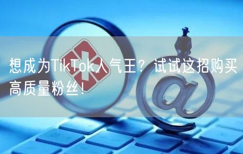 想成为TikTok人气王？试试这招购买高质量粉丝！
