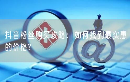 抖音粉丝购买攻略：如何找到最实惠的价格?