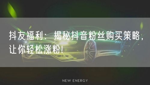 抖友福利：揭秘抖音粉丝购买策略，让你轻松涨粉!