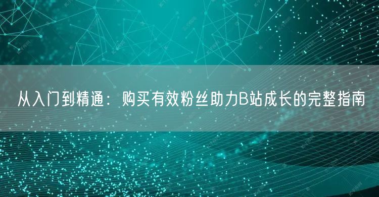 从入门到精通：购买有效粉丝助力B站成长的完整指南