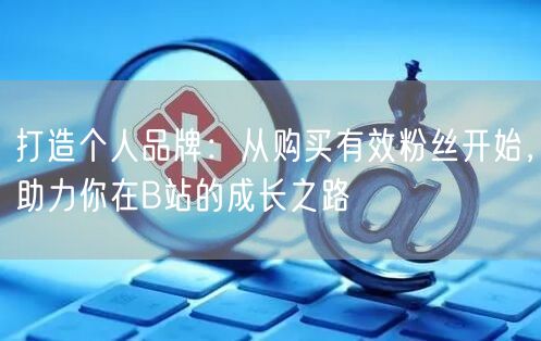 打造个人品牌：从购买有效粉丝开始，助力你在B站的成长之路