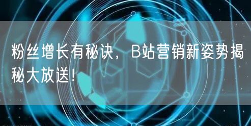 粉丝增长有秘诀，B站营销新姿势揭秘大放送！