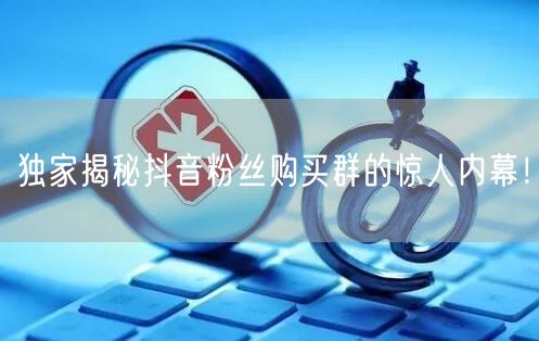 独家揭秘抖音粉丝购买群的惊人内幕！