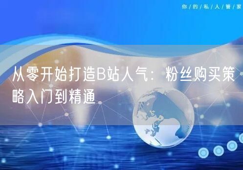 从零开始打造B站人气：粉丝购买策略入门到精通