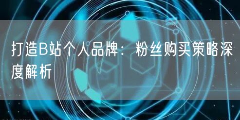 打造B站个人品牌：粉丝购买策略深度解析