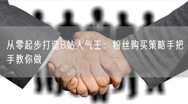 从零起步打造B站人气王：粉丝购买策略手把手教你做