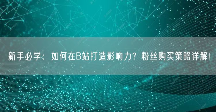 新手必学：如何在B站打造影响力？粉丝购买策略详解!
