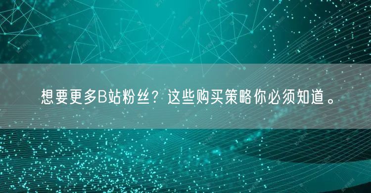 想要更多B站粉丝？这些购买策略你必须知道。