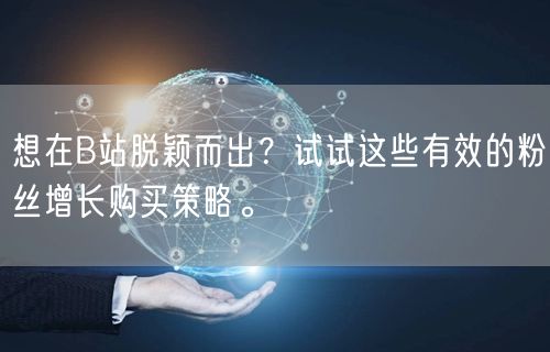 想在B站脱颖而出？试试这些有效的粉丝增长购买策略。