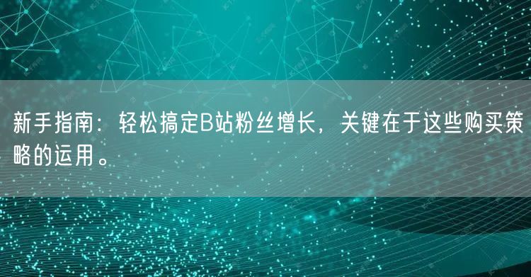 新手指南：轻松搞定B站粉丝增长，关键在于这些购买策略的运用。