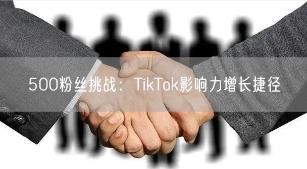 500粉丝挑战：TikTok影响力增长捷径