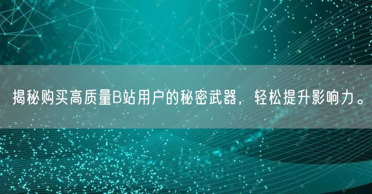 揭秘购买高质量B站用户的秘密武器，轻松提升影响力。