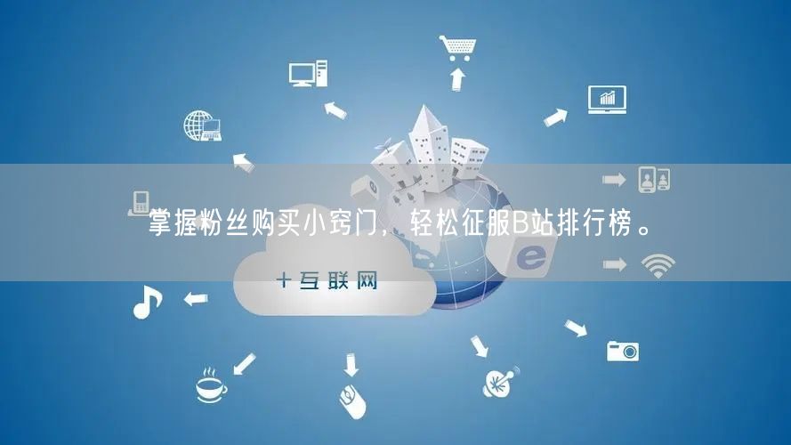 掌握粉丝购买小窍门，轻松征服B站排行榜。