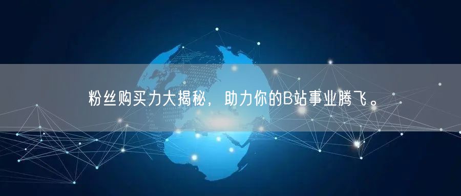 粉丝购买力大揭秘，助力你的B站事业腾飞。