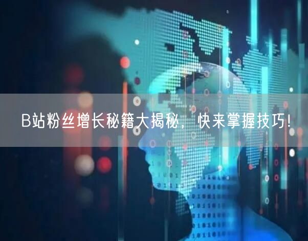 B站粉丝增长秘籍大揭秘，快来掌握技巧！