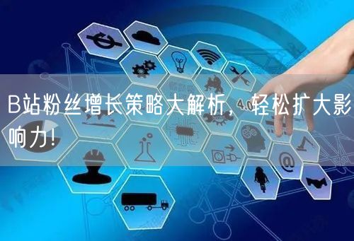 B站粉丝增长策略大解析，轻松扩大影响力！