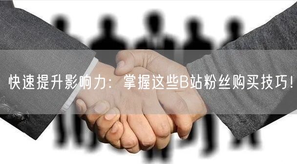 快速提升影响力：掌握这些B站粉丝购买技巧！