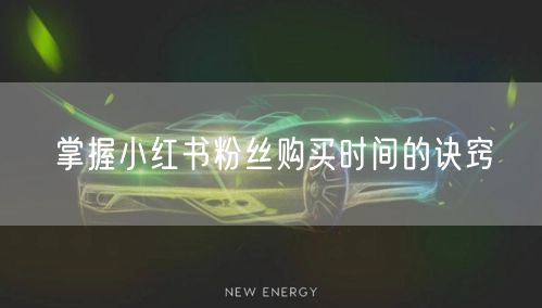 掌握小红书粉丝购买时间的诀窍