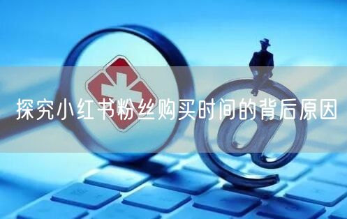 探究小红书粉丝购买时间的背后原因