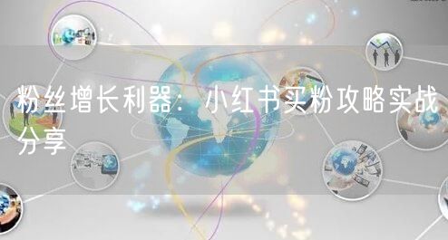 粉丝增长利器：小红书买粉攻略实战分享