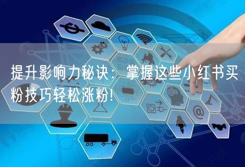 提升影响力秘诀：掌握这些小红书买粉技巧轻松涨粉!