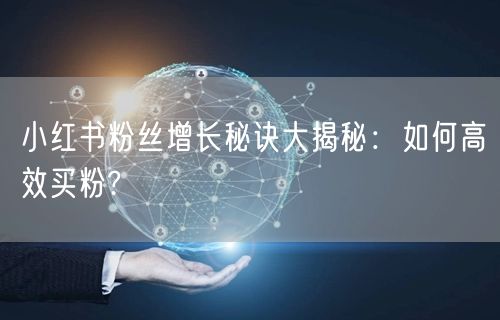 小红书粉丝增长秘诀大揭秘：如何高效买粉?