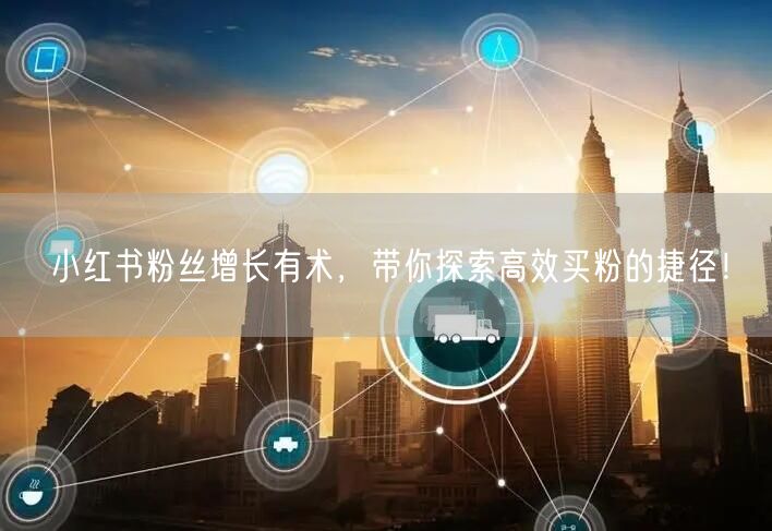 小红书粉丝增长有术，带你探索高效买粉的捷径！