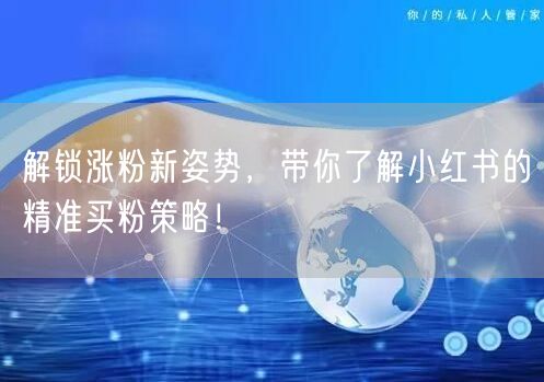 解锁涨粉新姿势，带你了解小红书的精准买粉策略！