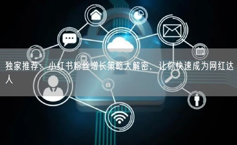 独家推荐：小红书粉丝增长策略大解密，让你快速成为网红达人