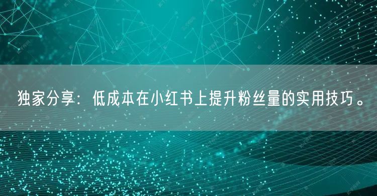 独家分享：低成本在小红书上提升粉丝量的实用技巧。
