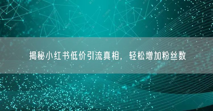 揭秘小红书低价引流真相，轻松增加粉丝数