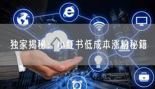 独家揭秘：小红书低成本涨粉秘籍