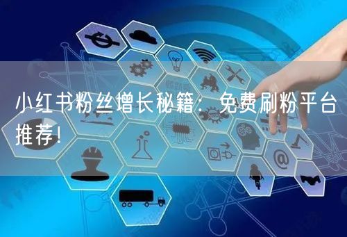 小红书粉丝增长秘籍：免费刷粉平台推荐！