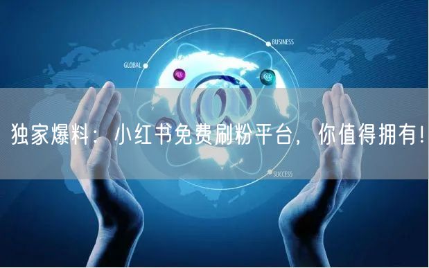 独家爆料：小红书免费刷粉平台，你值得拥有！